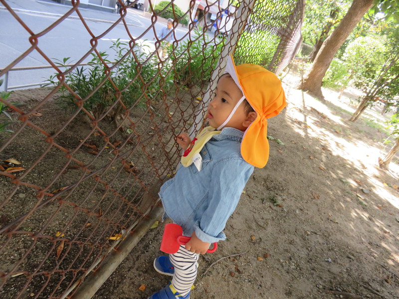 車がいっぱいいたね♪