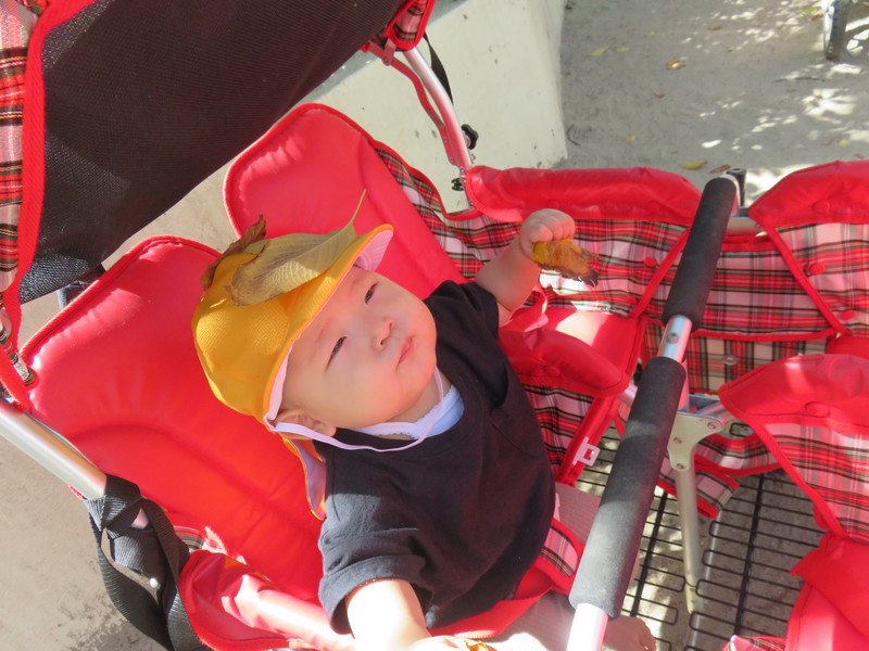 頭にはっぱ、、、💛