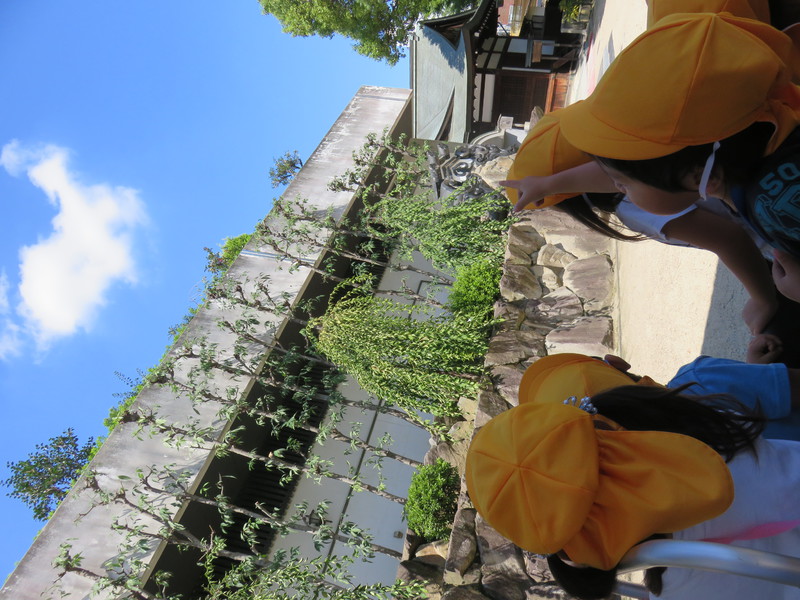 あの雲なにに似てるかな…？