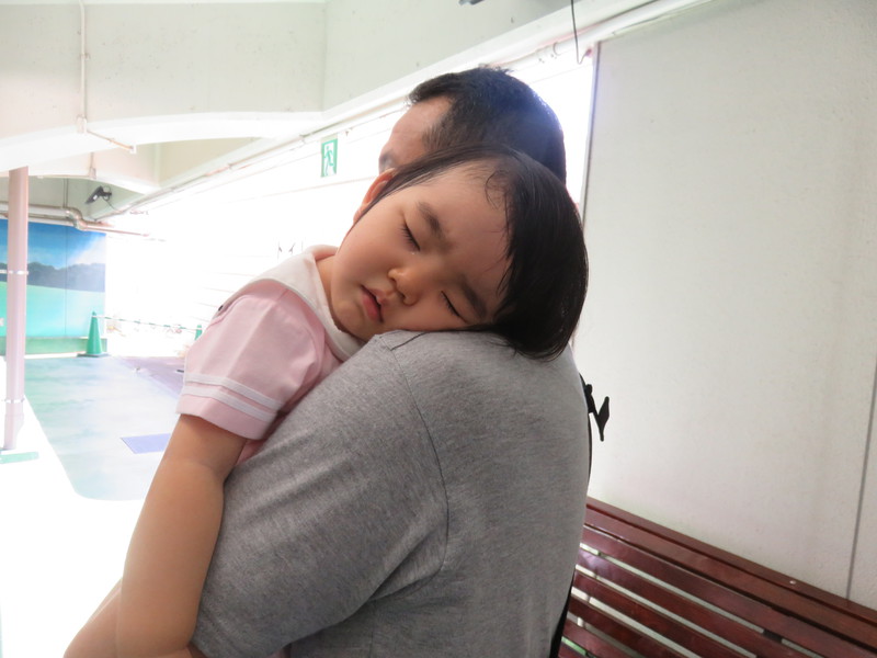 パパの肩でぐっすり…( *´艸｀)