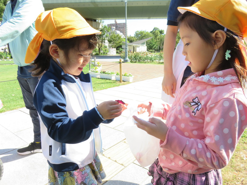 赤色の花びらあったよ♡