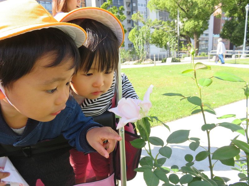 いい匂いがするね…(*‘ω‘ *)