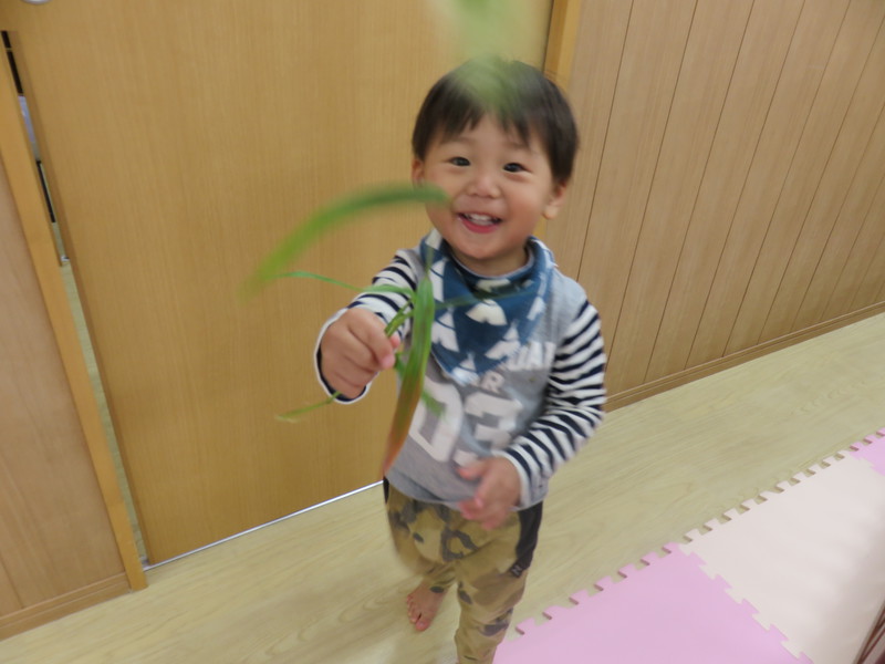 ねこじゃらしみっけ♡