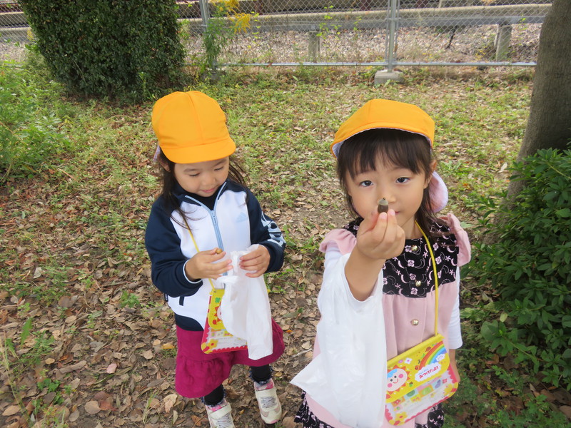 どんぐりあったよ！