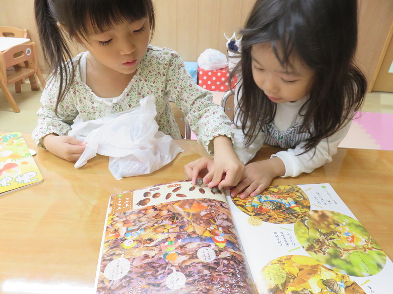 これと一緒かな❔