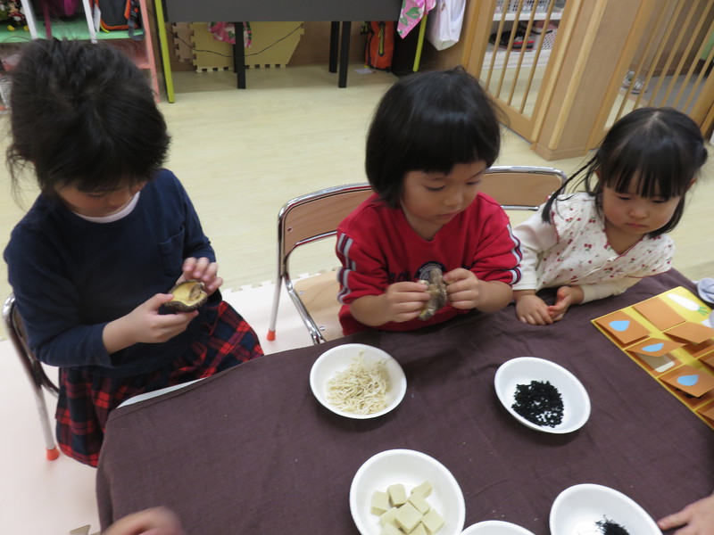 感触はどうかな？