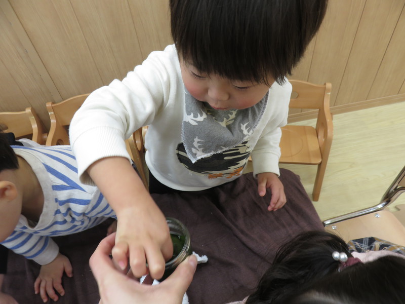 わかめが気に入ったみたいです✨