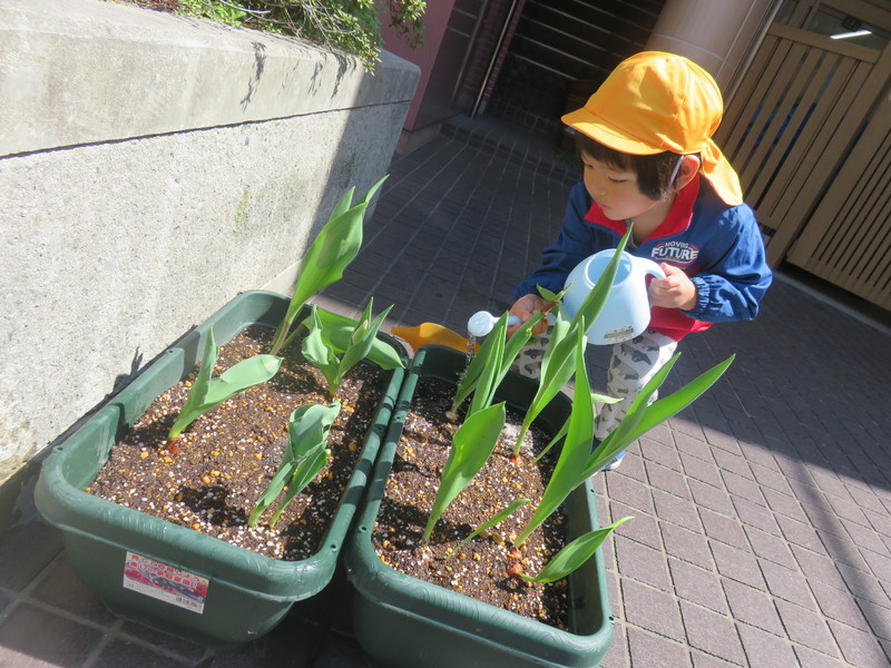 はやく咲かないかな〜♡