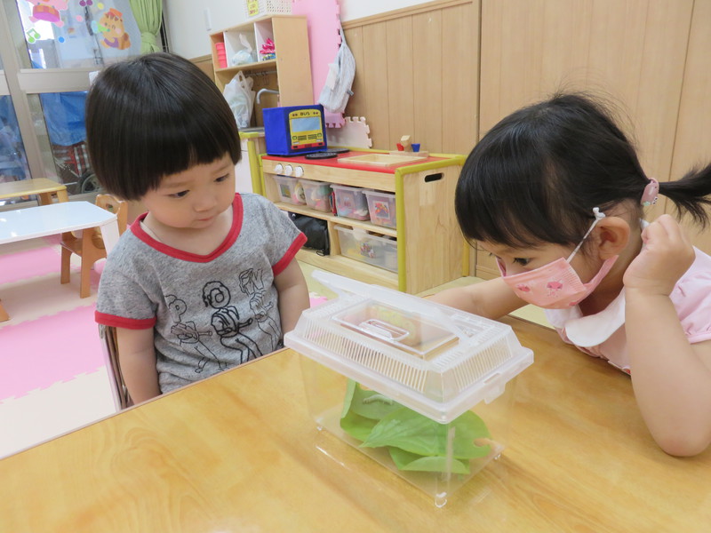 だれがいてるかな？