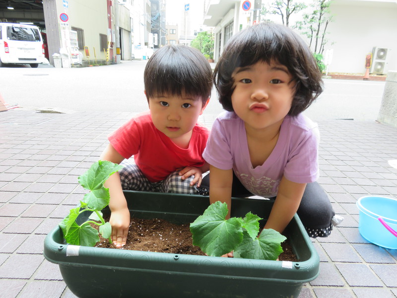 大きくなってねー🥒✨