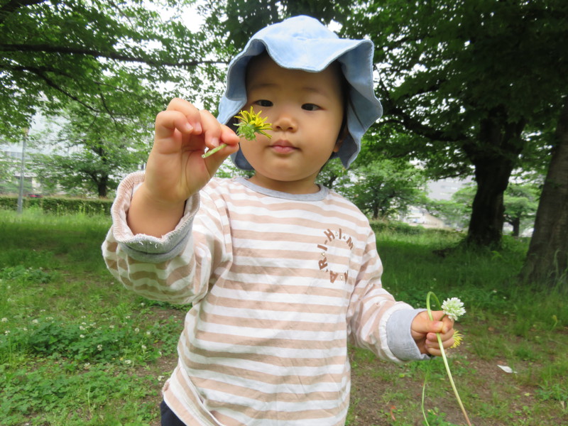 お花きれいだなぁ🌸