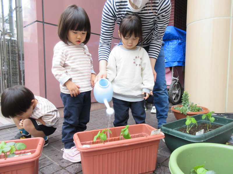おおきくなーれ🍀