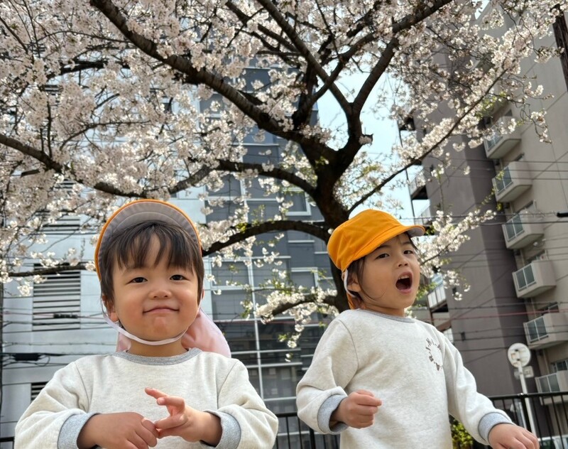 お花見楽しい♪♪