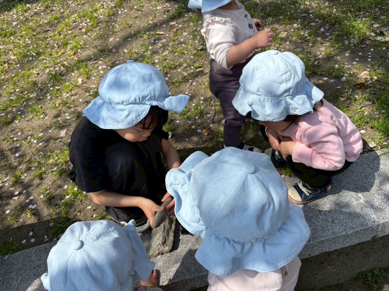 何が落ちてるのー？