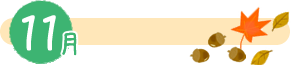 11月