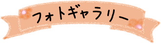 フォトギャラリー