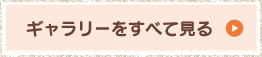 ギャラリーをすべて見る
