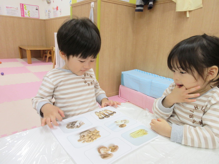 これはどれかな?