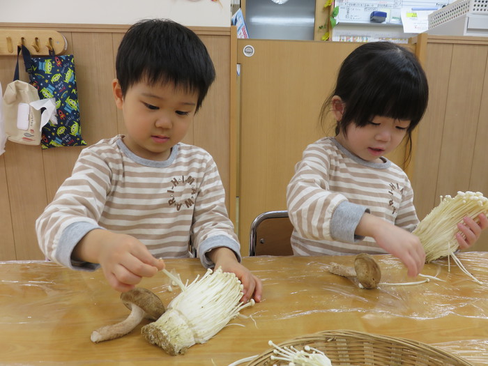 簡単にちぎれるね〜