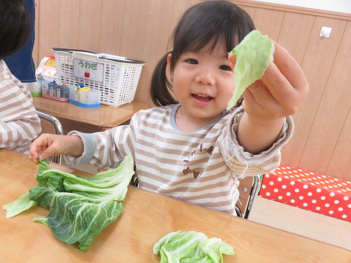 キャベツさんおおきいね😊