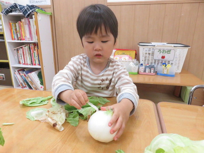 まあるい玉ねぎさんペリペリ🎵