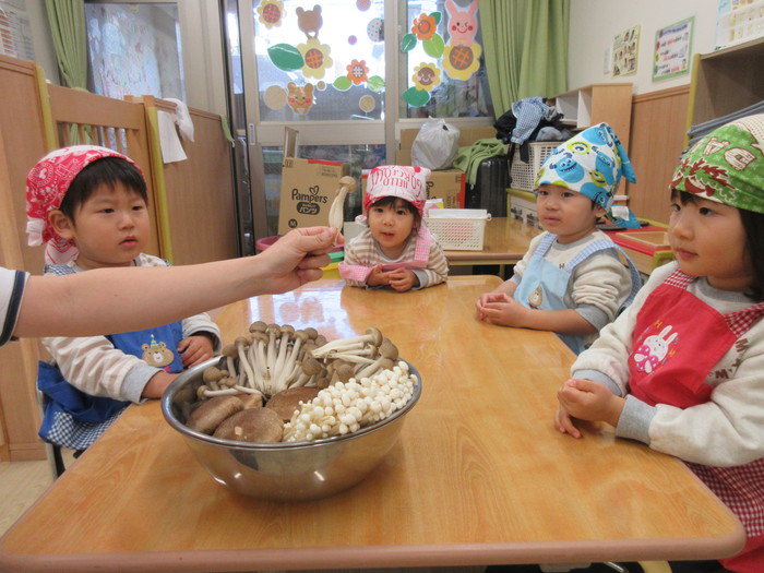 きのこたくさーん！😯