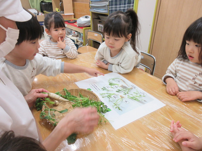 これが七草だよ〜😯