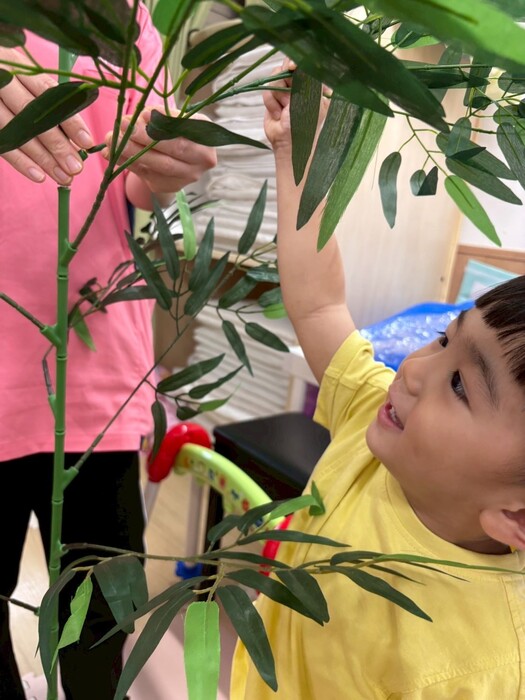 ささのはさらさら〜